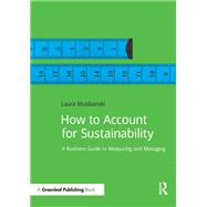 How to Account for Sustainability