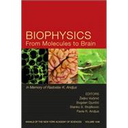 Biophysics From Molecules to Brain In Memory of Radolslav K. Andjus, Volume 1048