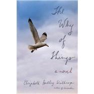 The Why of Things A Novel