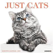 Just Cats 2020 Calendar