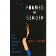 Framed by Gender How Gender Inequality Persists in the Modern World