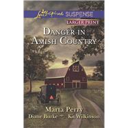 Danger in Amish Country Fall from Grace\Dangerous Homecoming\Return to Willow Trace