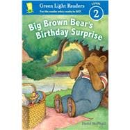 Big Brown Bear's Birthday Surprise