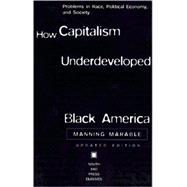 How Capitalism Underdeveloped Black America