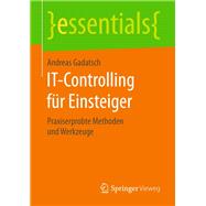 It-controlling Fur Einsteiger