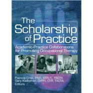 The Scholarship of Practice