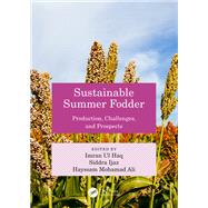 Sustainable Summer Fodder