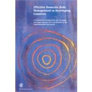 Effective Domestic Debt Management in Developing Countries