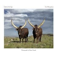 Cattle of the Ages Ankole cattle in South Africa