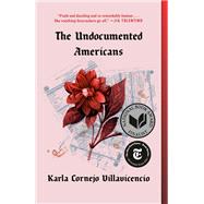 The Undocumented Americans