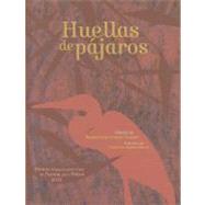 Huellas de pajaros / Birds' paths