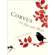Corvus A Life with Birds
