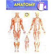 Anatomy