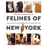 Felines of New York A Glimpse Into the Lives of New York's Feline Inhabitants