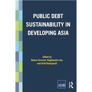 Public Debt Sustainability in Developing Asia