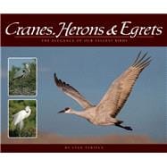 Cranes, Herons & Egrets The Elegance of Our Tallest Birds