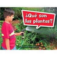 Que son las plantas? Grade K Book 10