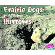 Prairie Dogs and Their Burrows