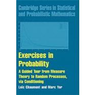 Exercises in Probability: A Guided Tour from Measure Theory to Random Processes, via Conditioning