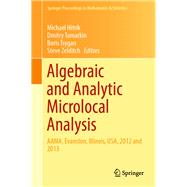 Algebraic and Analytic Microlocal Analysis
