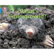 What's Underground?