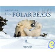 Little Polar Bears