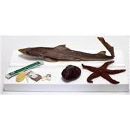 Marine Biology Dissection Specimens (Clam, Starfish, and Dogfish Shark) (Item #031156) (No Returns Allowed)
