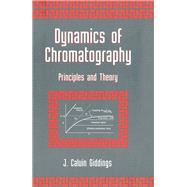Dynamics of Chromatography