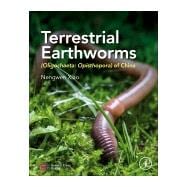 Terrestrial Earthworms Oligochaeta - Opisthopora, of China