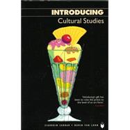 Introducing Cultural Studies