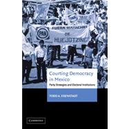 Courting Democracy in Mexico: Party Strategies and Electoral Institutions