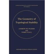 The Geometry of Topological Stability
