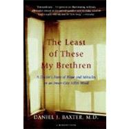 The Least of These My Brethren: A Doctor's Story of Hope and Miracles in an Inner-City AIDS Ward