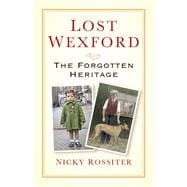 Lost Wexford The Forgotten Heritage