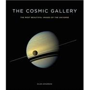 The Cosmic Gallery