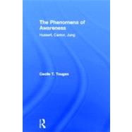 The Phenomena of Awareness: Husserl, Cantor, Jung