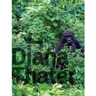 Diana Thater: Gorillagorillagorilla