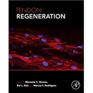 Tendon Regeneration
