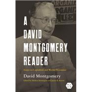 A David Montgomery Reader