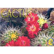 Cactus 2006 Calendar