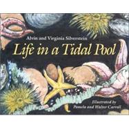 Life in A Tidal Pool