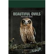 Beautiful Owls Postcard Book: 30 Postcards of Stunning Birds to Keep or Send