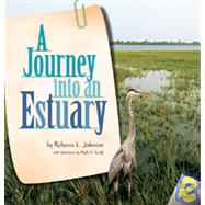 A Journey into an Estuary
