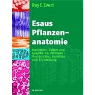 Esaus Pflanzenanatomie/ Plant Anatomy