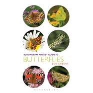 Pocket Guide to Butterflies