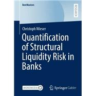 Quantification of Structural Liquidity Risk in Banks