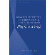 New Perspectives on China’s Late Imperial Period