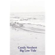Big Low Tide