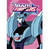 Transformers Animated 13