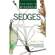 Field Guide to Wisconsin Sedges